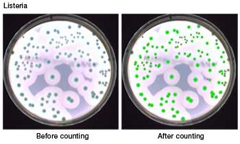 img/produkte/labm/scan500/Listeria-counting-thumb.jpg