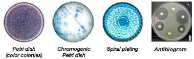 img/produkte/labm/scan500/peti.jpg img/produkte/labm/scan500/peti.jpg