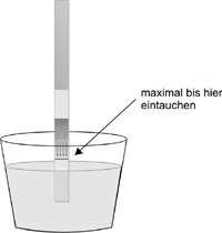 Durchfuehrung des Tests mit dem Mikroalbumin-Teststreifen