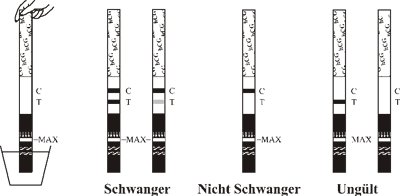 img/produkte/upload/schnelltest/pregnotest-s/pregnotest-s.gif img/produkte/upload/schnelltest/pregnotest-s/pregnotest-s.gif